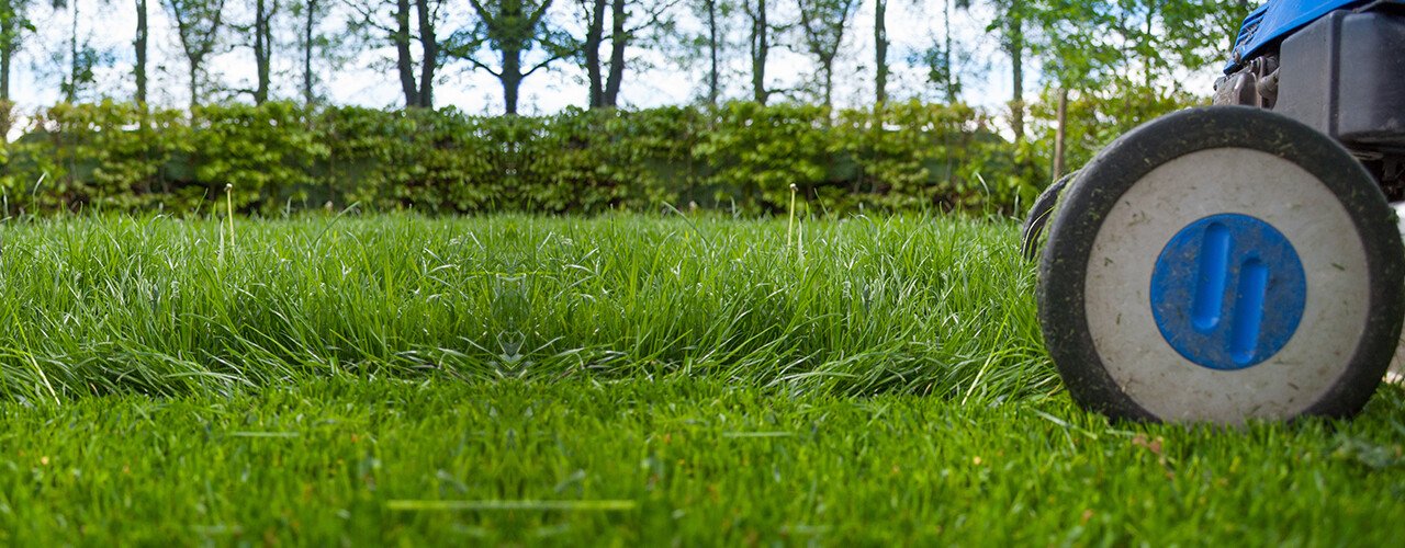 Entretien espaces verts