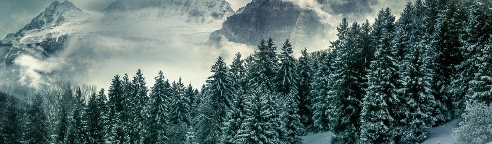 Guide complet pour conduire en Montagne cet hiver